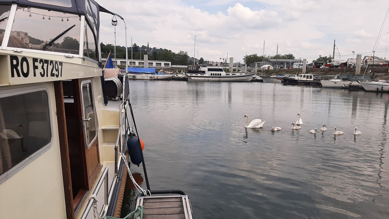 Photo of Others in Rouen