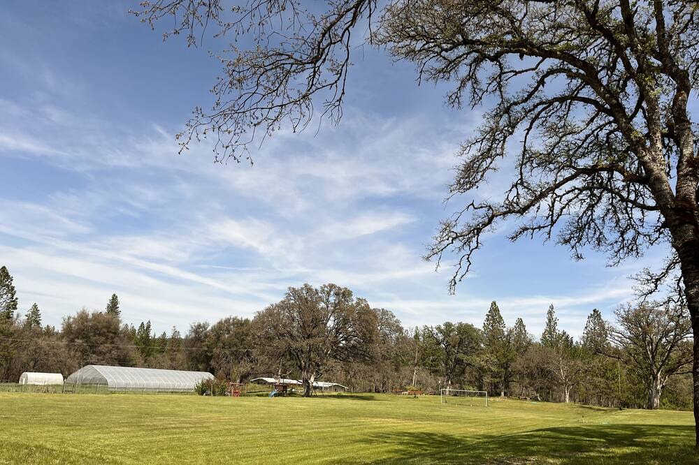 Photo of Others in Grass Valley