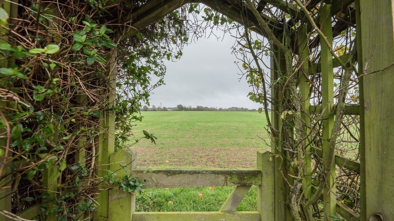 Photo of Others in Woodbridge