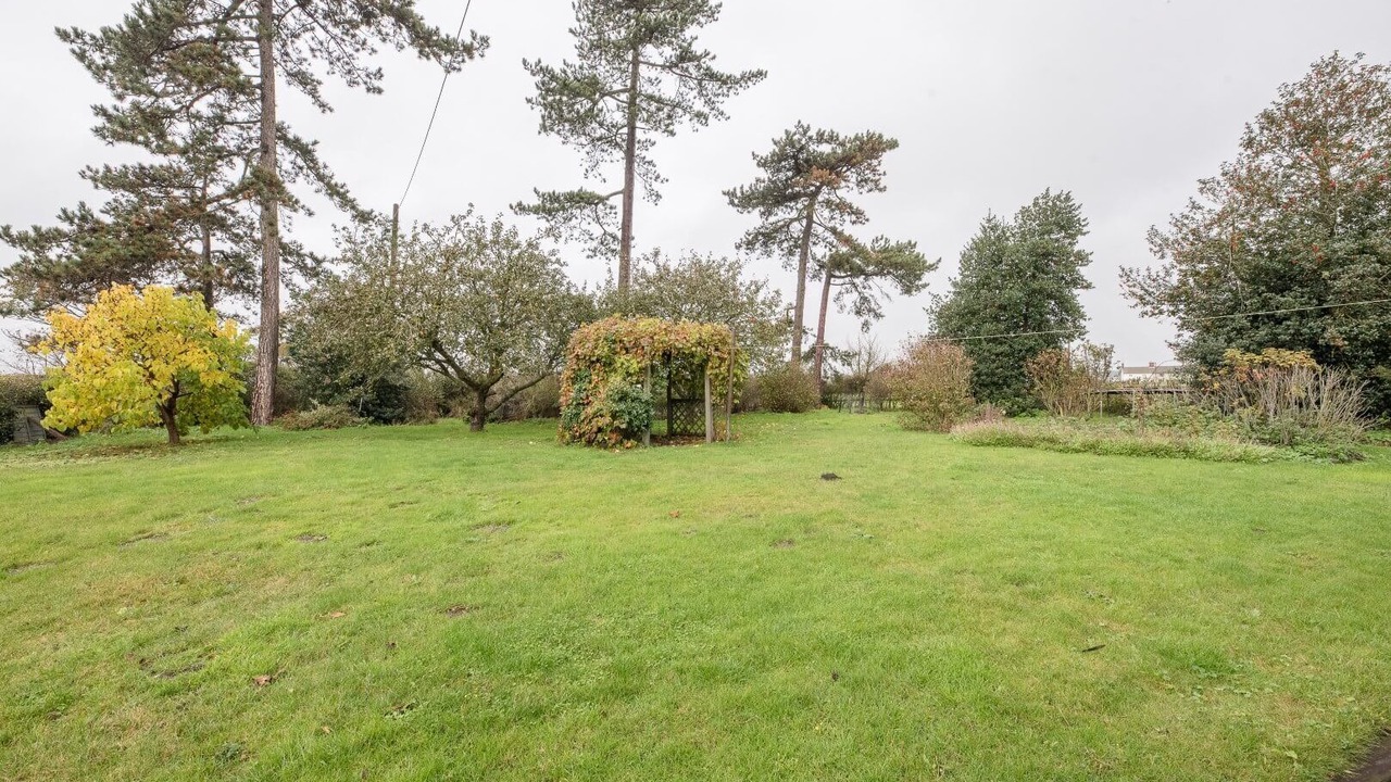 Photo of Others in Woodbridge