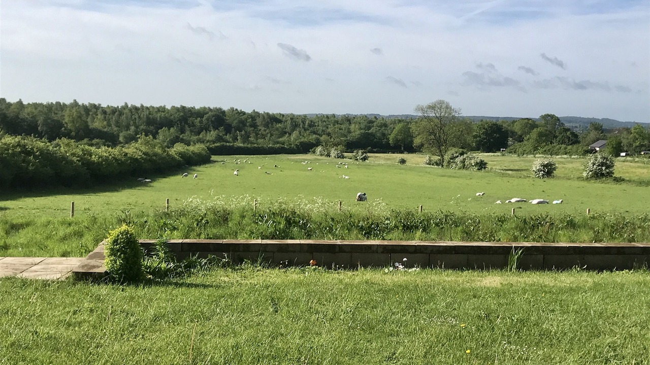 Photo of Bedroom in Ripley