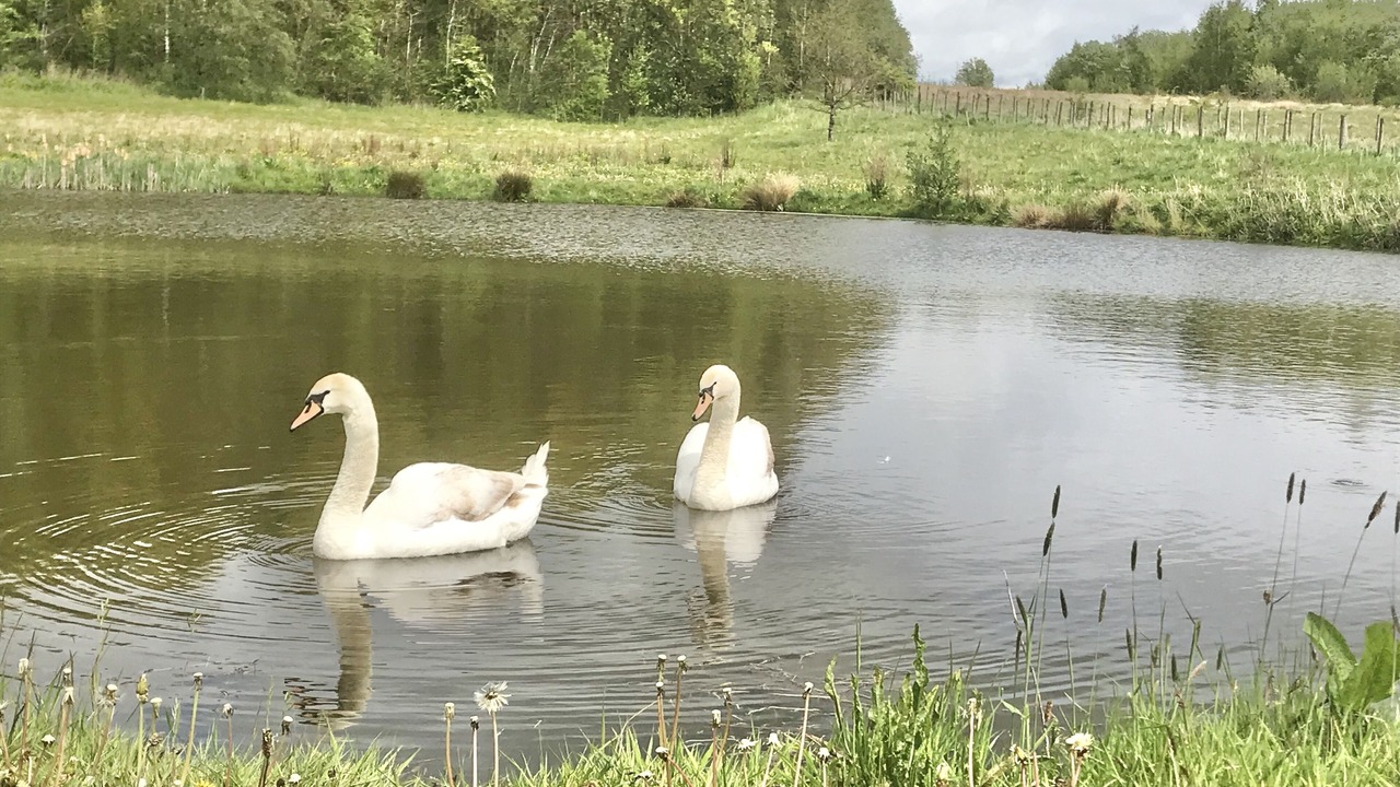 Photo of Outdoor in Ripley