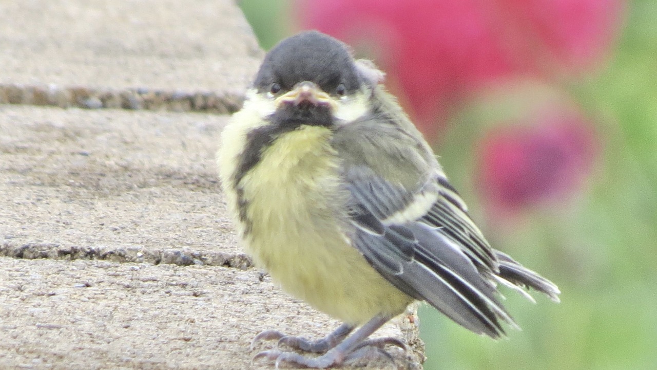 Photo of Outdoor in Ripley