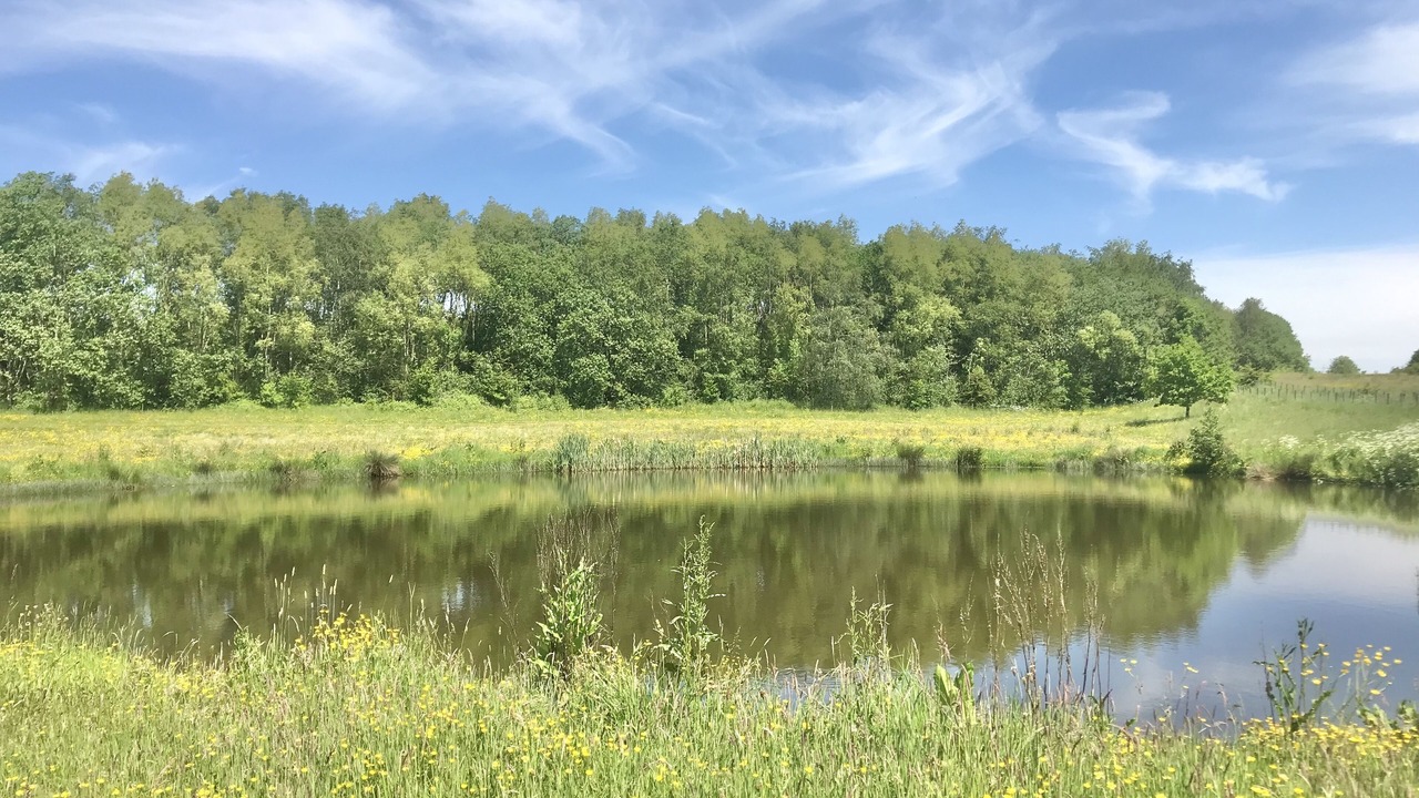 Photo of Others in Ripley