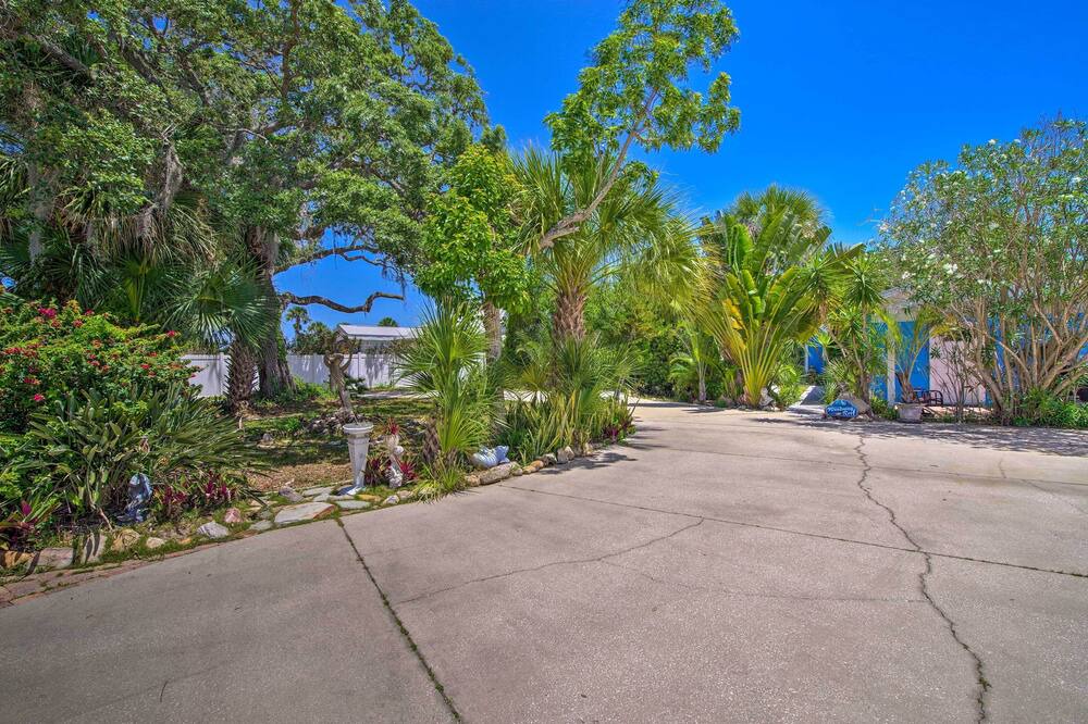 Photo of Outdoor in Tropic