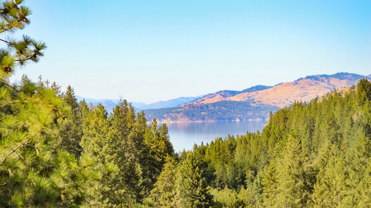 Photo of Outdoor in Colville