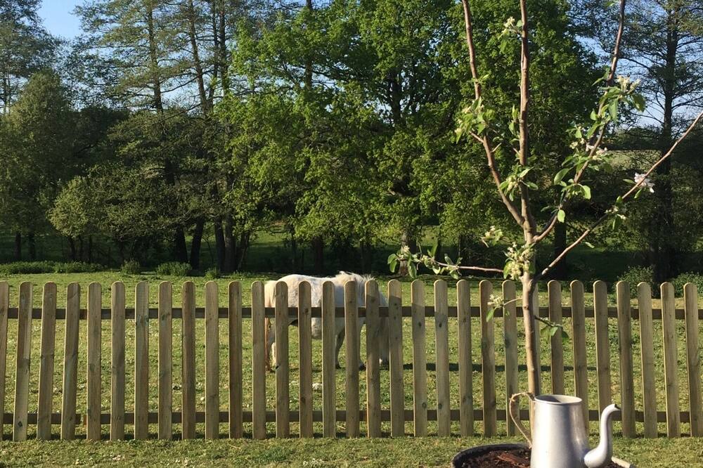 Photo of Outdoor in Cholet