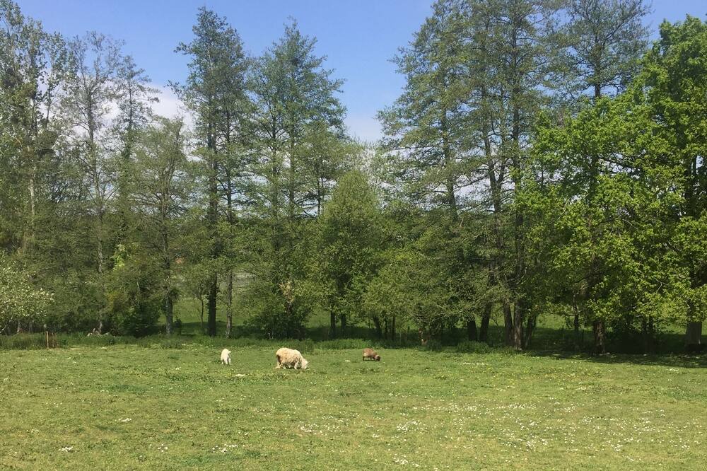 Photo of Outdoor in Cholet