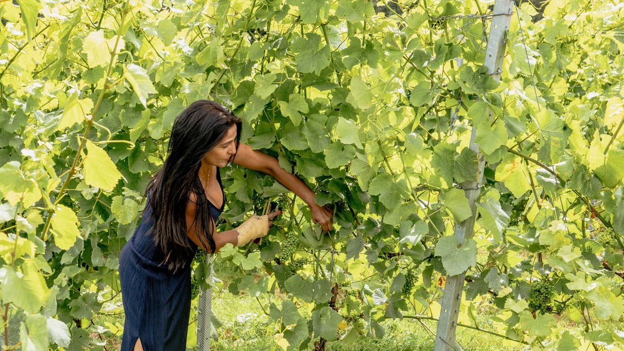 Photo of Outdoor in Ewhurst Green