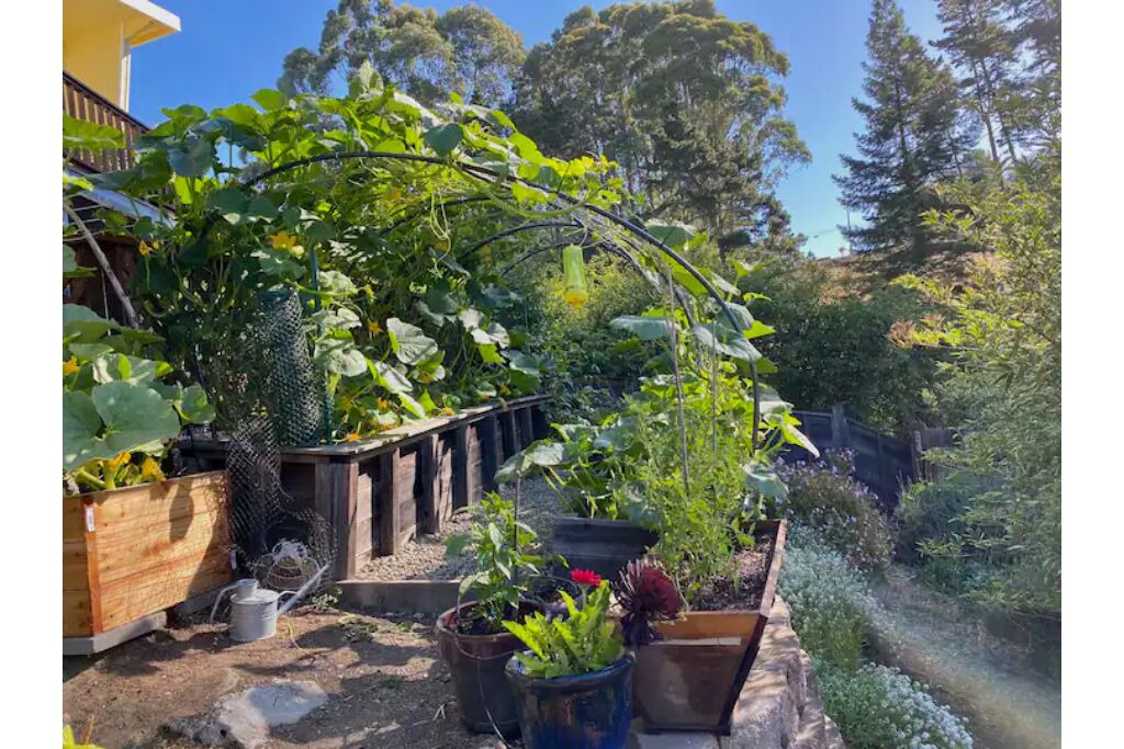 Photo of Outdoor in Berkeley