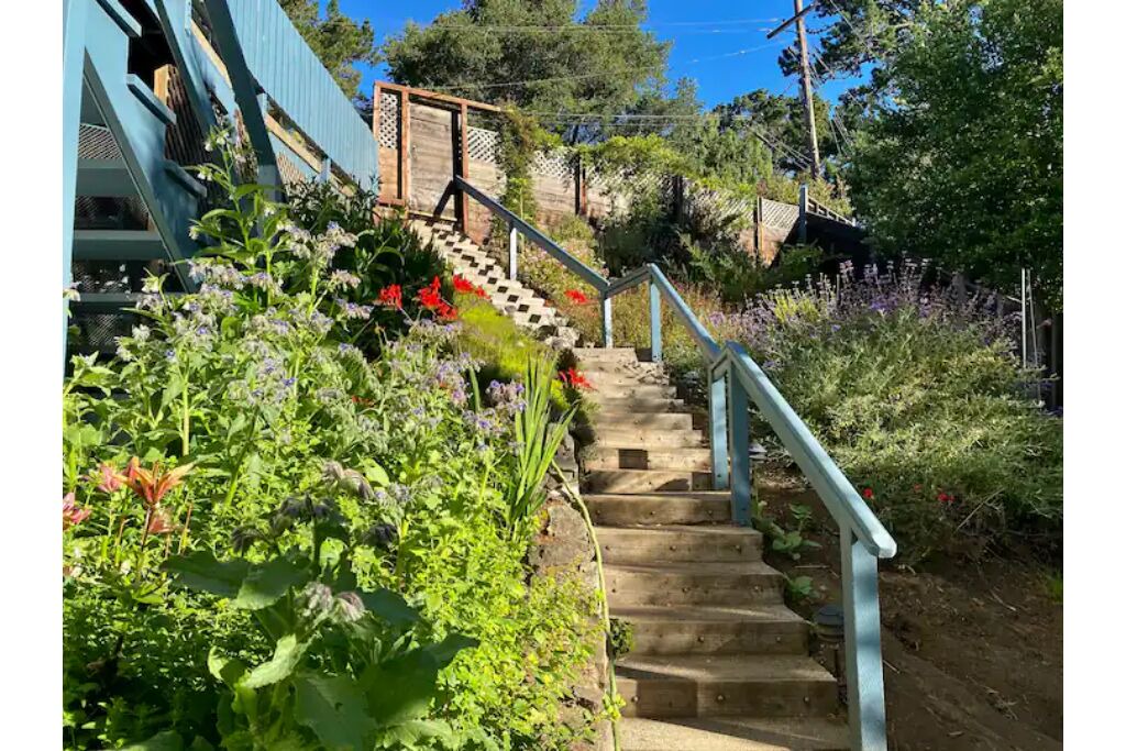 Photo of Outdoor in Berkeley