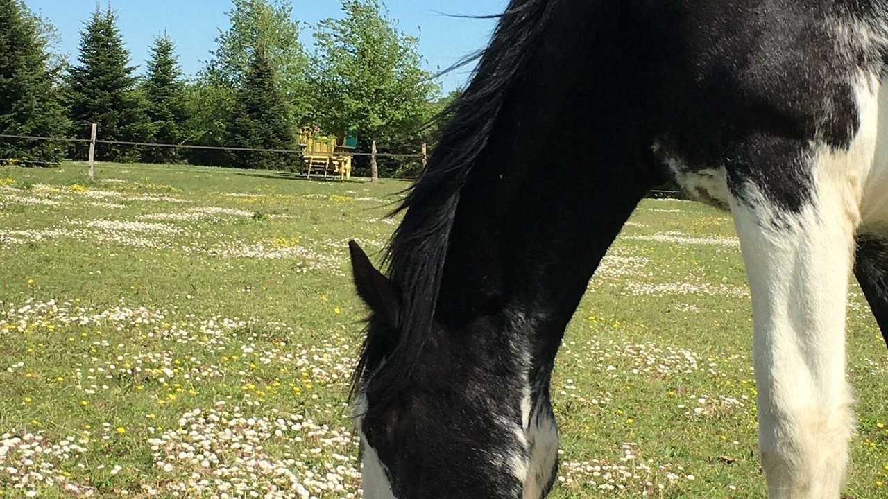 Photo of Others in Genille