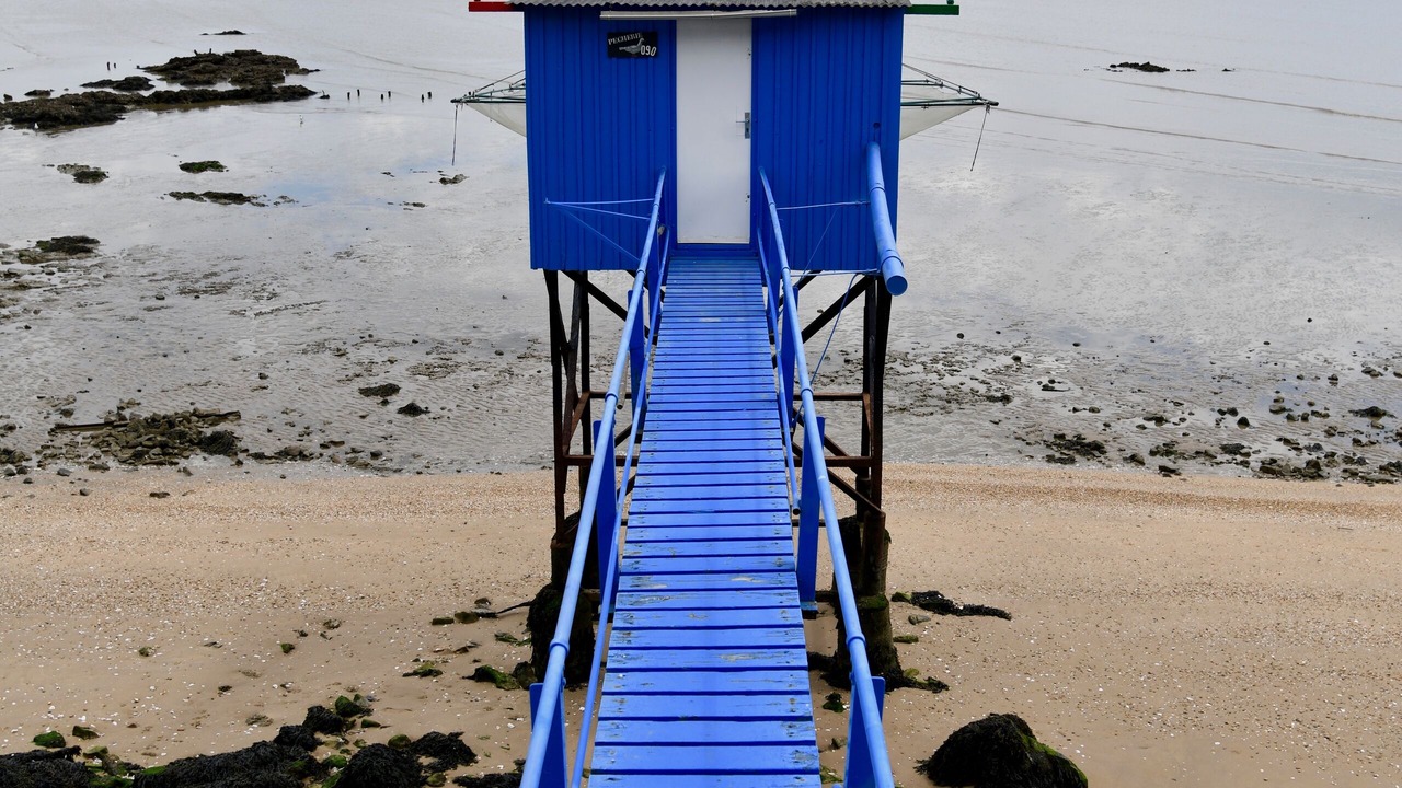 Photo of Others in Saint-Nazaire