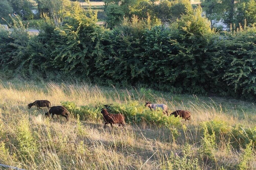 Photo of Others in Colleville