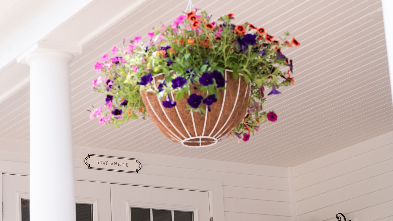 Photo of Outdoor in Millbrook