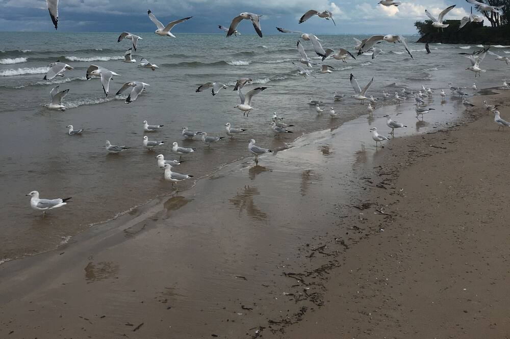 Photo of Others in Lambton Shores