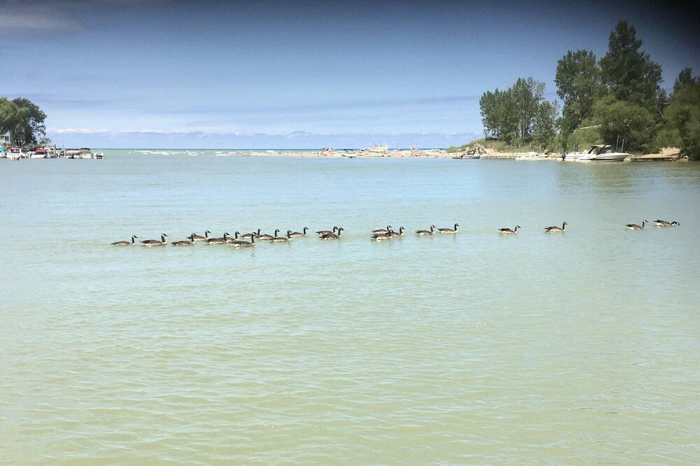 Photo of Others in Lambton Shores