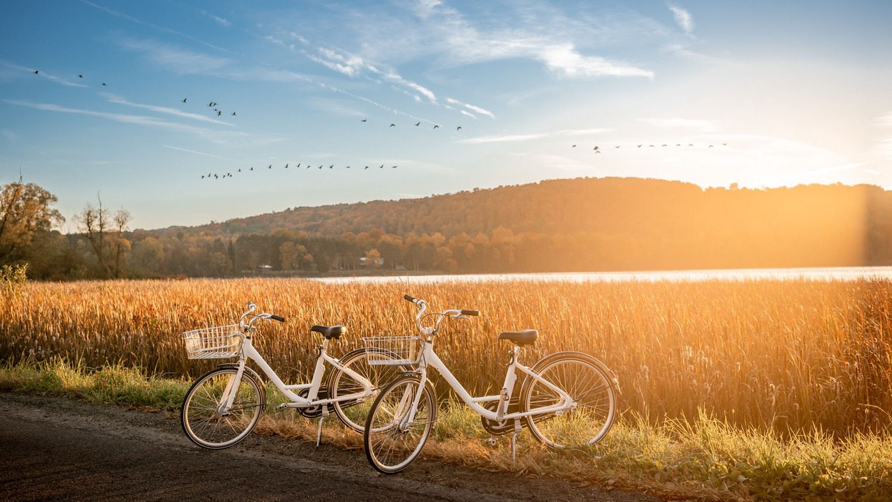 Photo of Outdoor in Hamilton