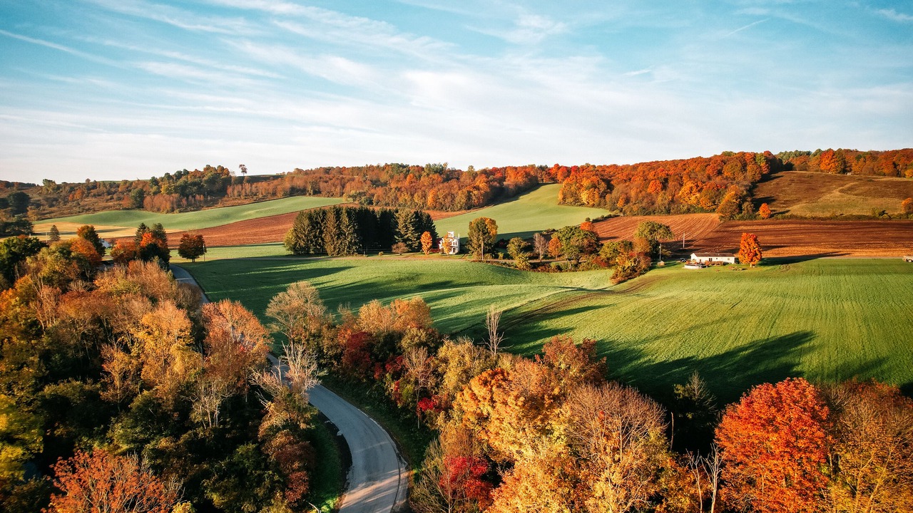 Photo of Outdoor in Hamilton