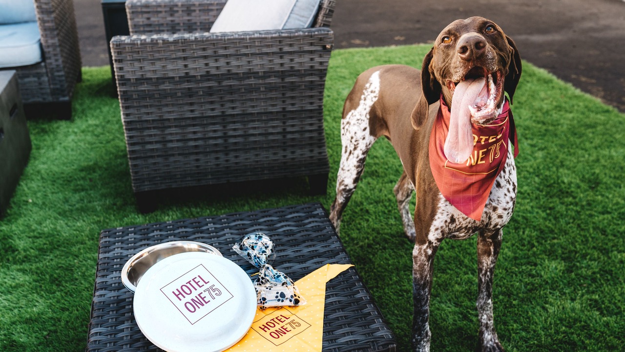 Photo of Outdoor in Hamilton