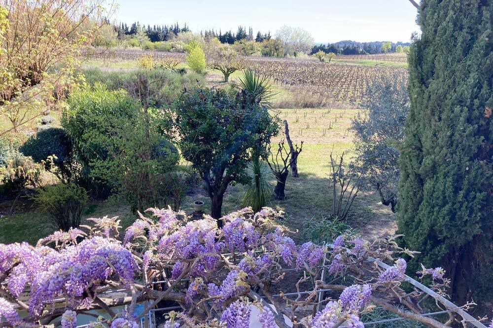 Photo of Outdoor in Beaumes-de-Venise