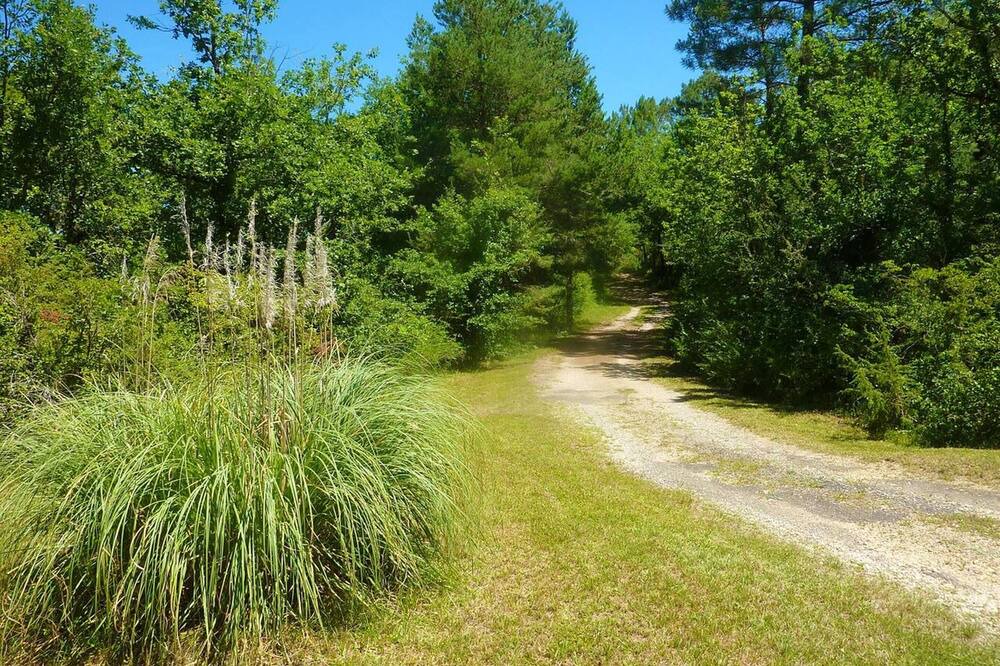 Photo of Outdoor in Les Junies