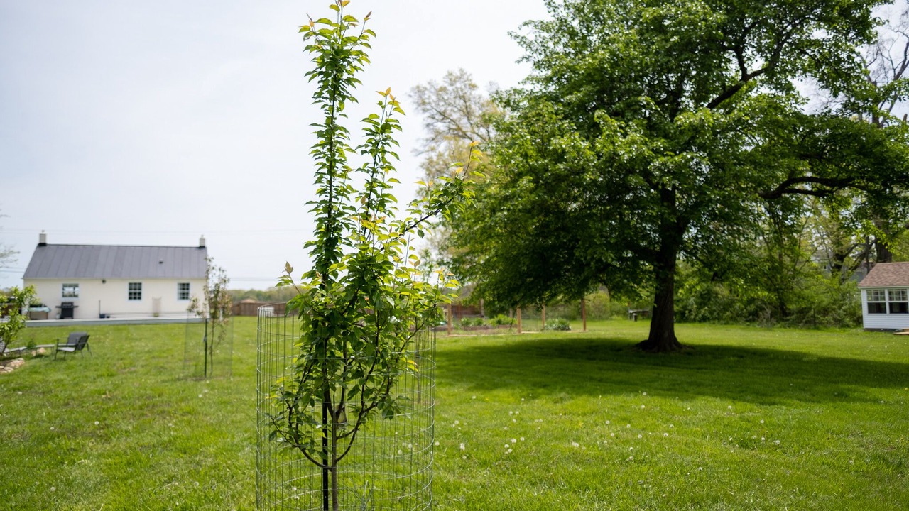 Photo of Outdoor in Rectortown