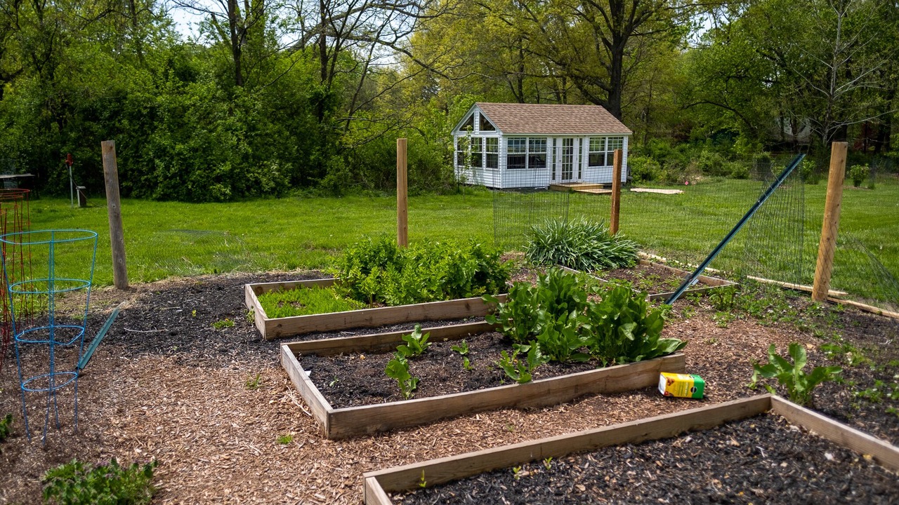 Photo of Outdoor in Rectortown