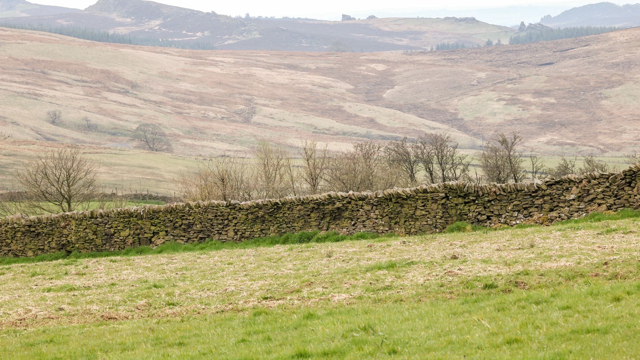 Photo of Others in Quarnford