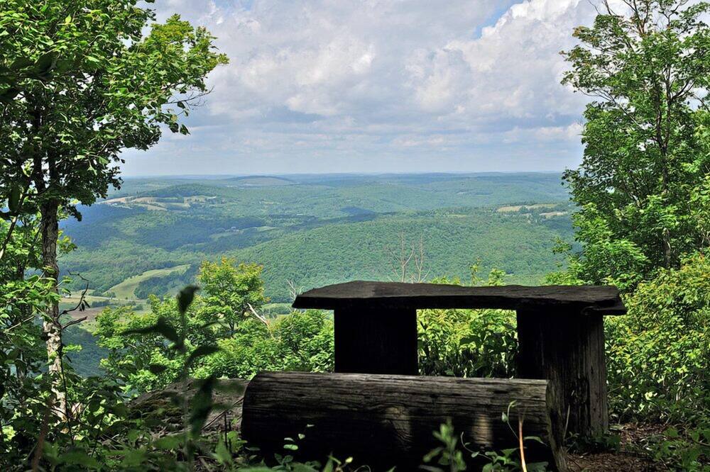 Photo of Others in Delhi