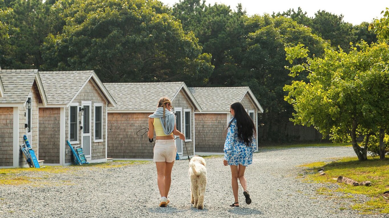 Photo of Outdoor in North Truro