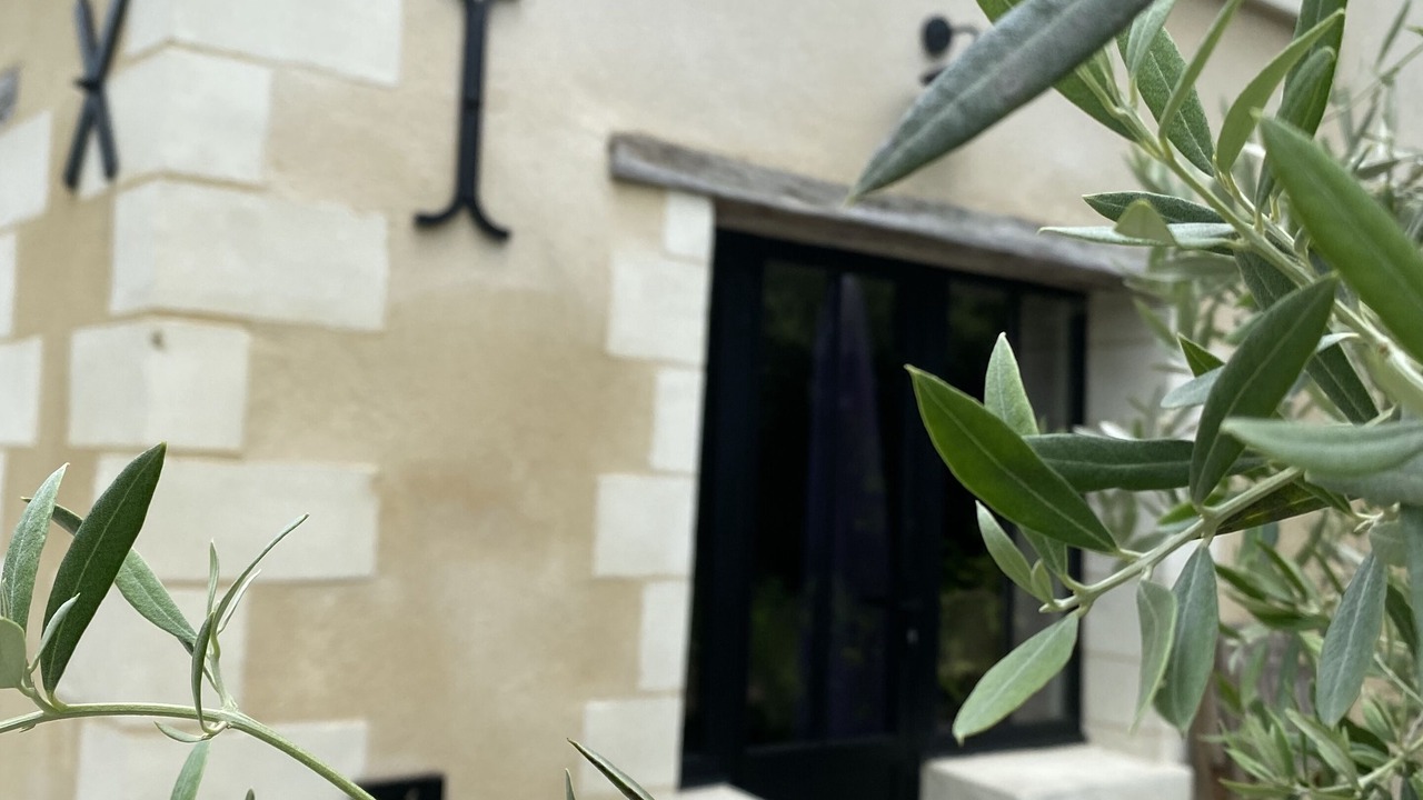 Photo of Outdoor in Fondettes