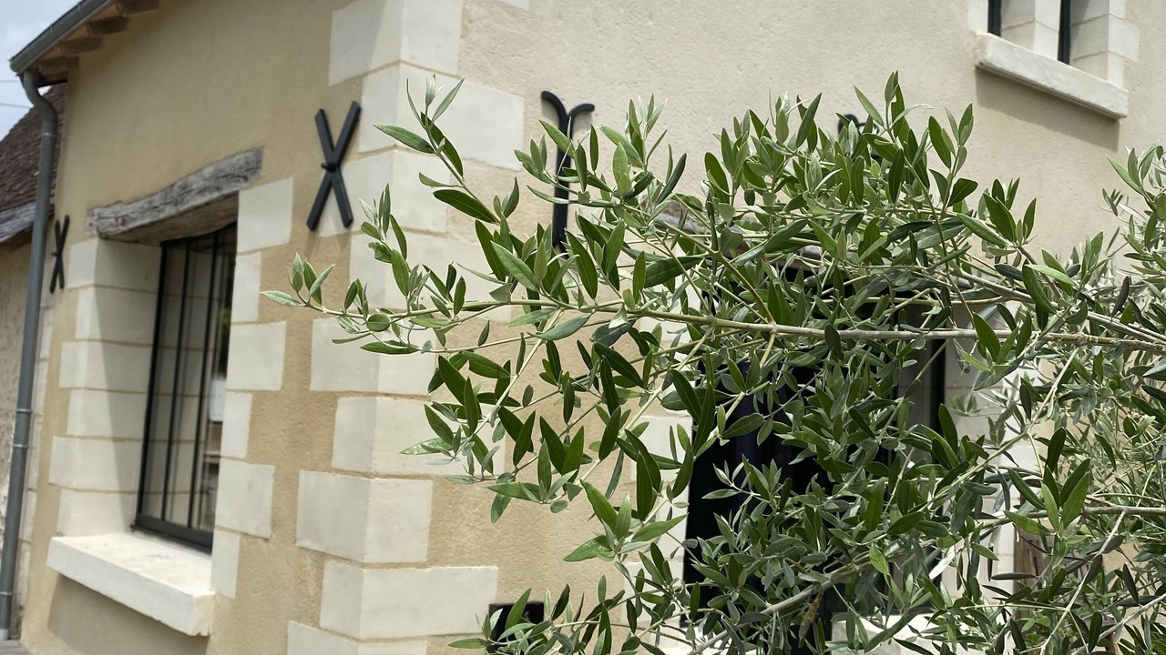 Photo of Outdoor in Fondettes