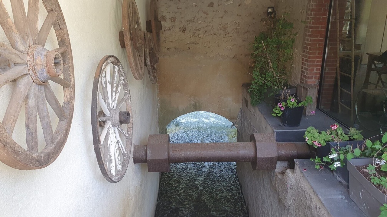 Photo of Outdoor in Villeneuve-la-Lionne