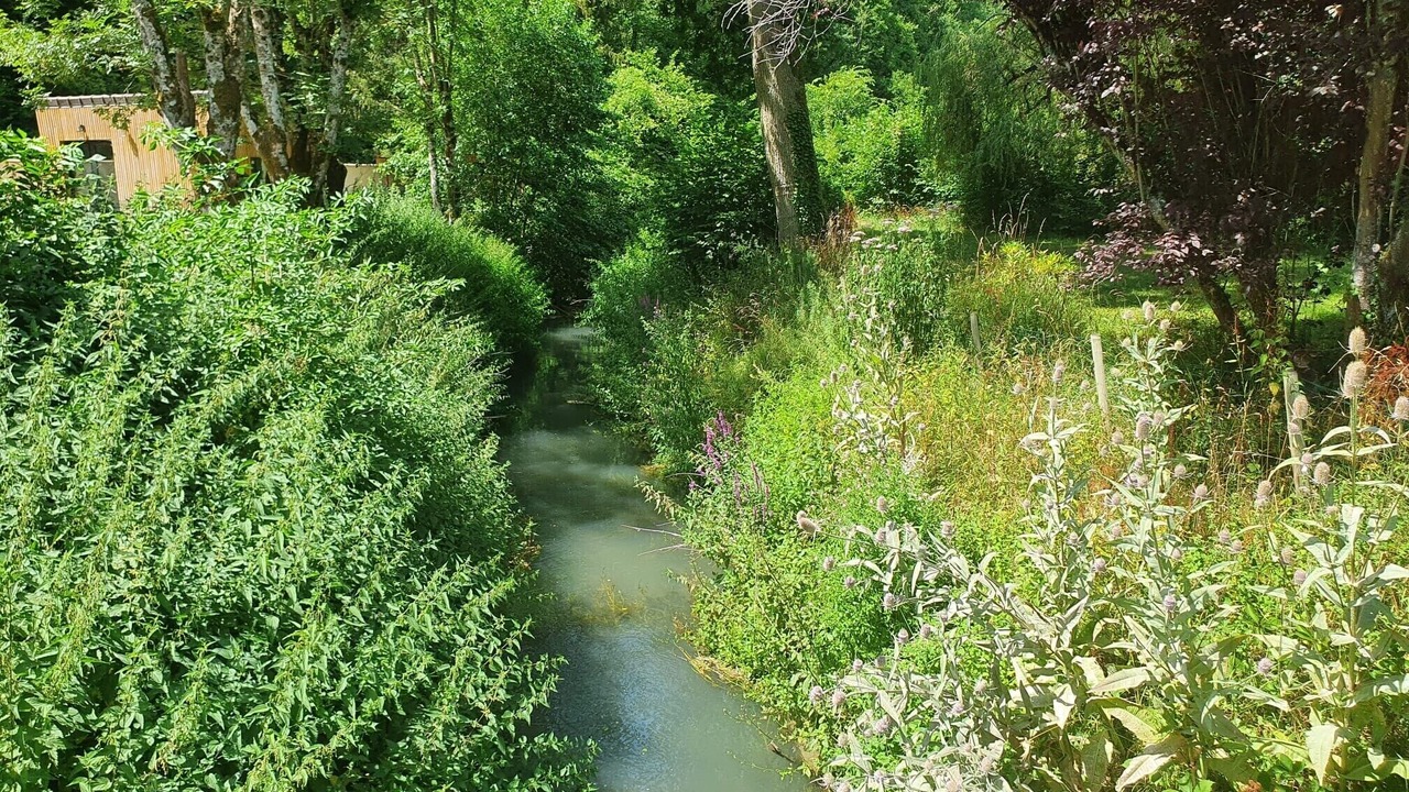 Photo of Outdoor in Villeneuve-la-Lionne