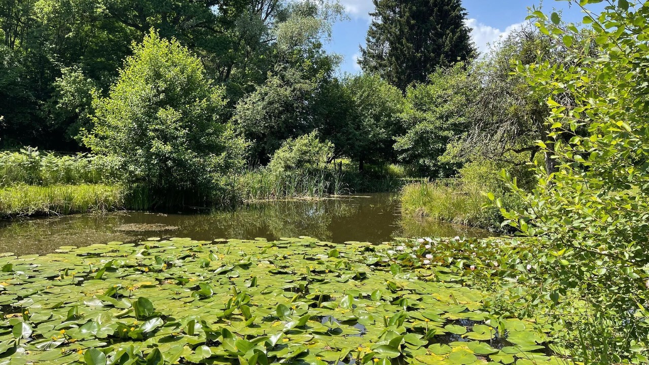 Photo of Others in Saint-Berain-sous-Sanvignes