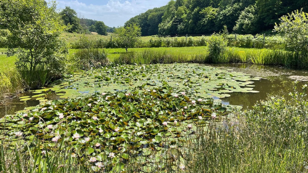 Photo of Outdoor in Saint-Berain-sous-Sanvignes