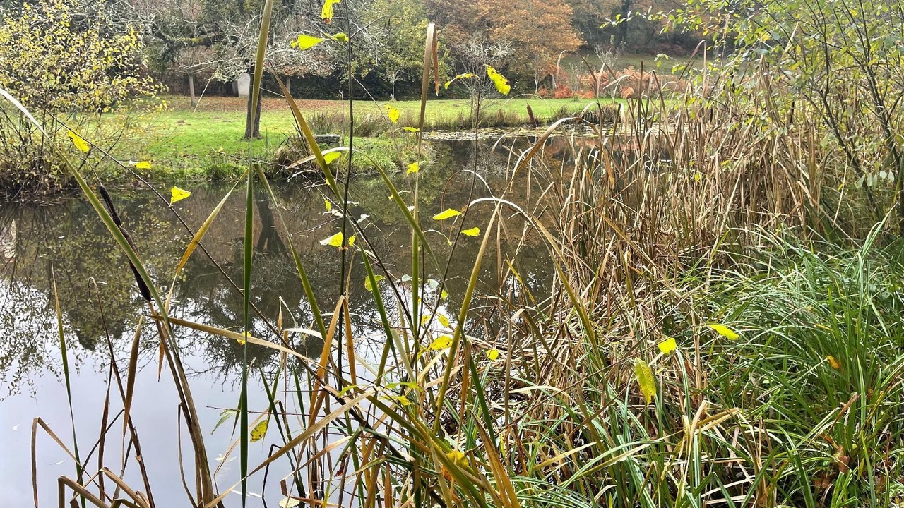 Photo of Outdoor in Saint-Berain-sous-Sanvignes