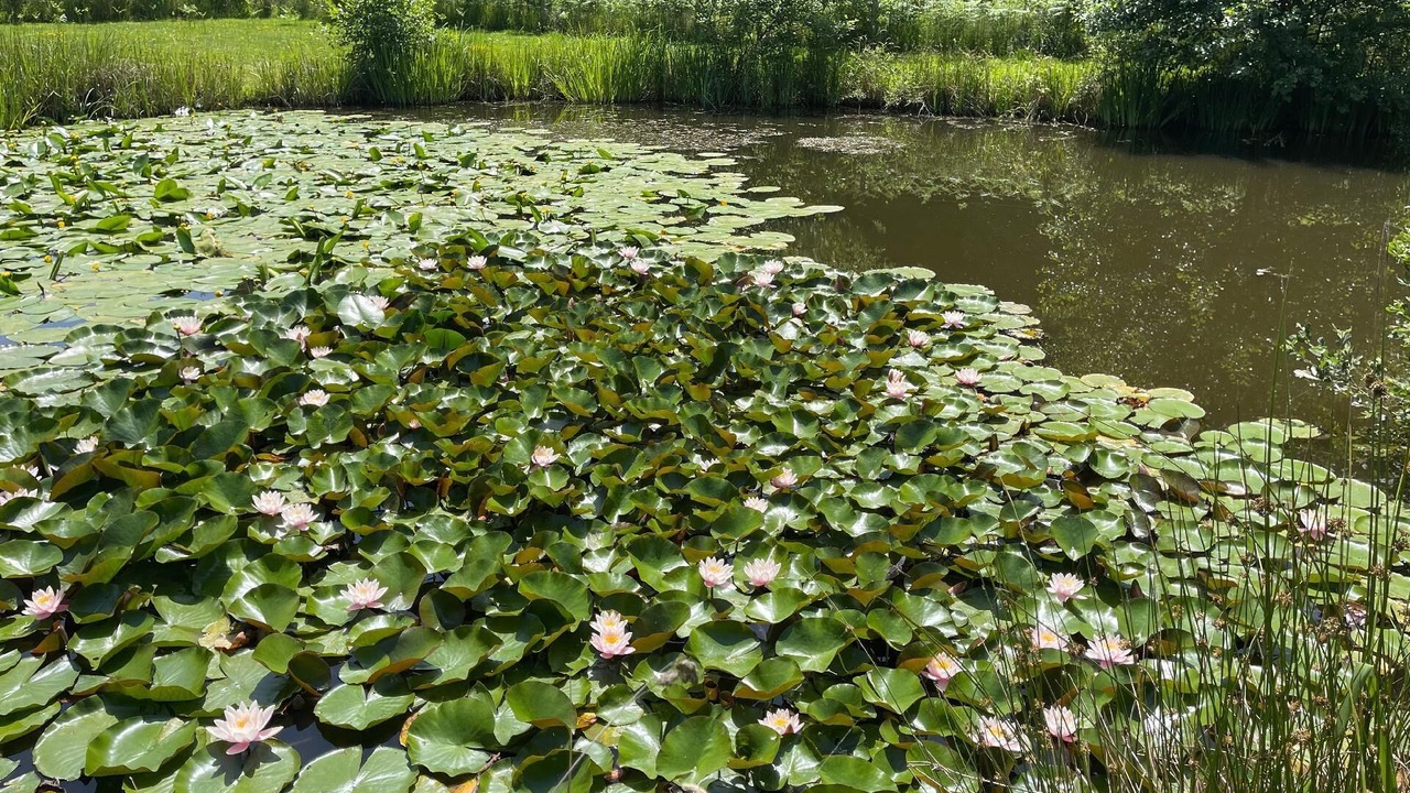 Photo of Outdoor in Saint-Berain-sous-Sanvignes