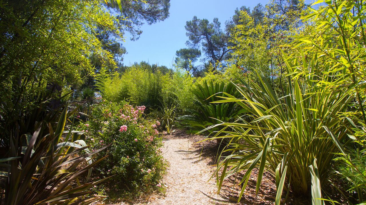 Photo of Outdoor in Saint-Gely-du-Fesc