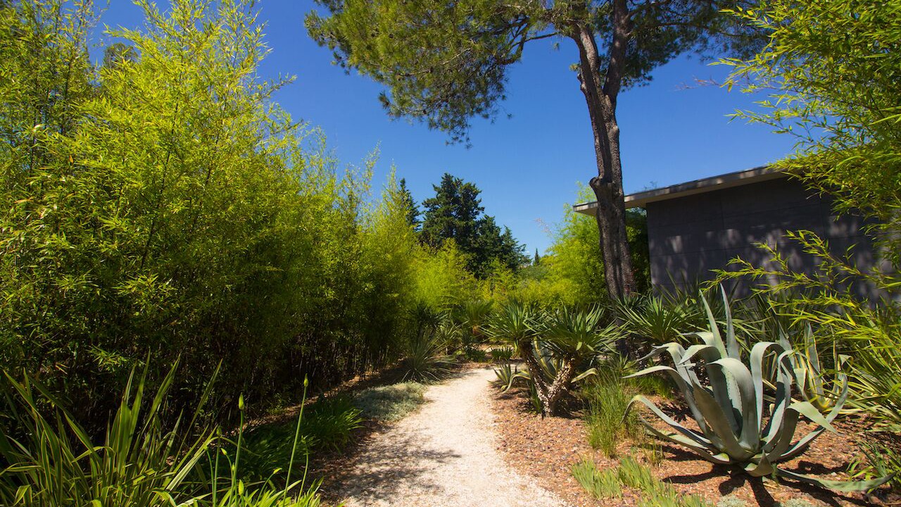 Photo of Outdoor in Saint-Gely-du-Fesc
