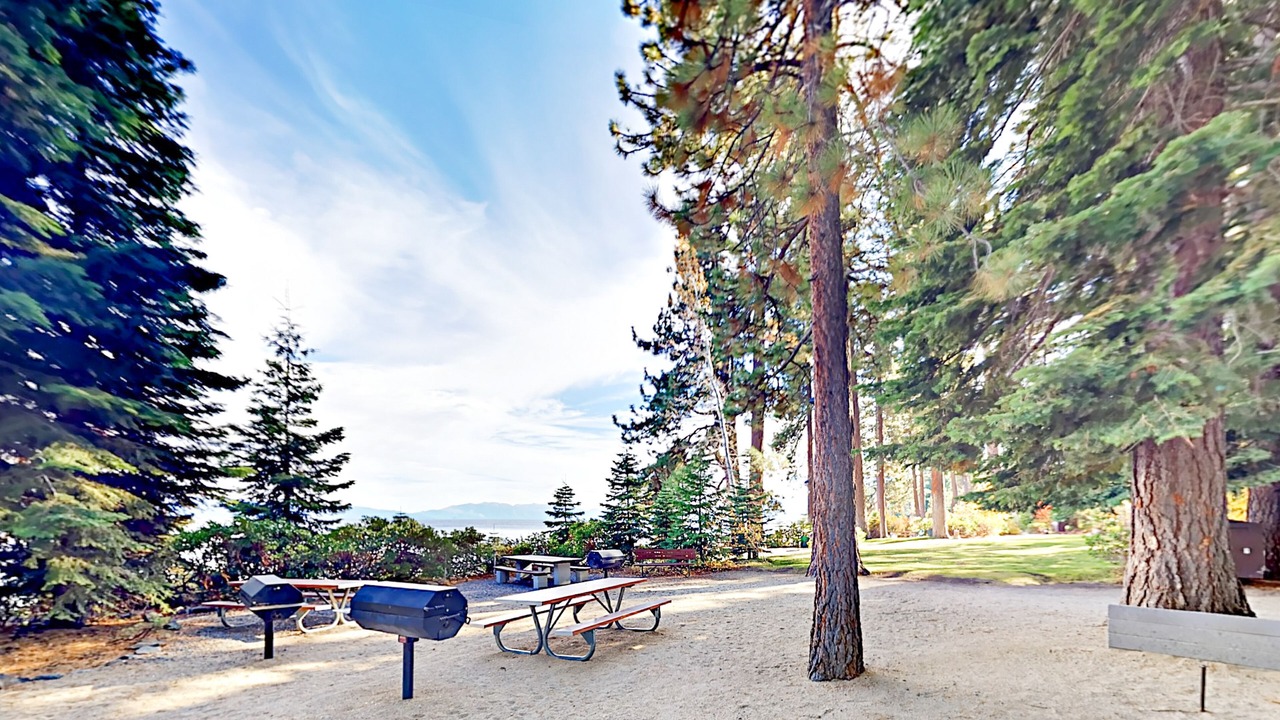 Photo of Outdoor in Talmont
