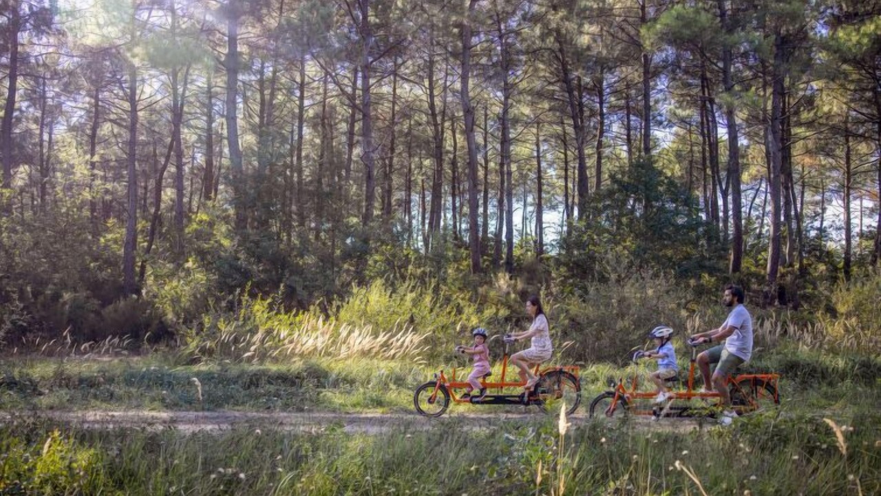 Photo of Outdoor in Morton