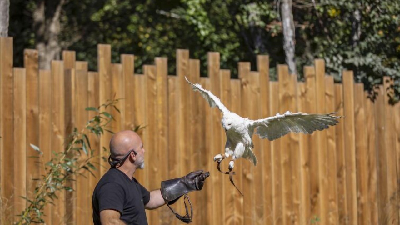 Photo of Outdoor in Morton