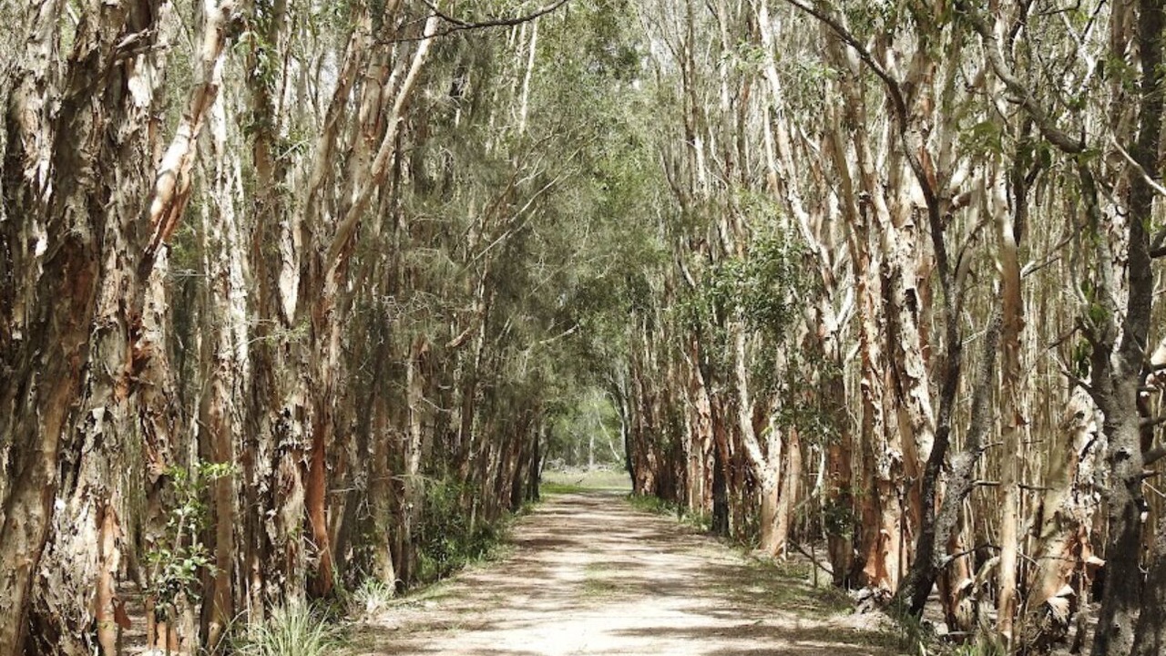 Photo of Outdoor in Coombabah