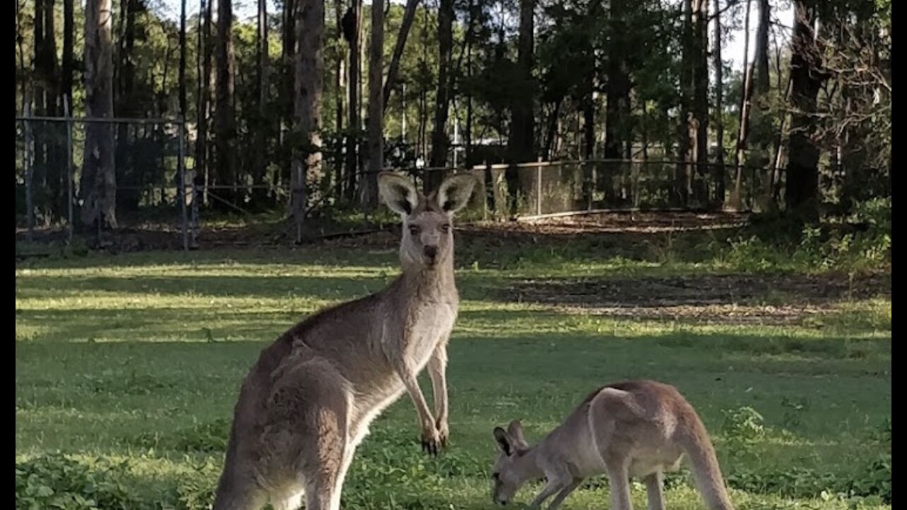 Photo of Outdoor in Coombabah