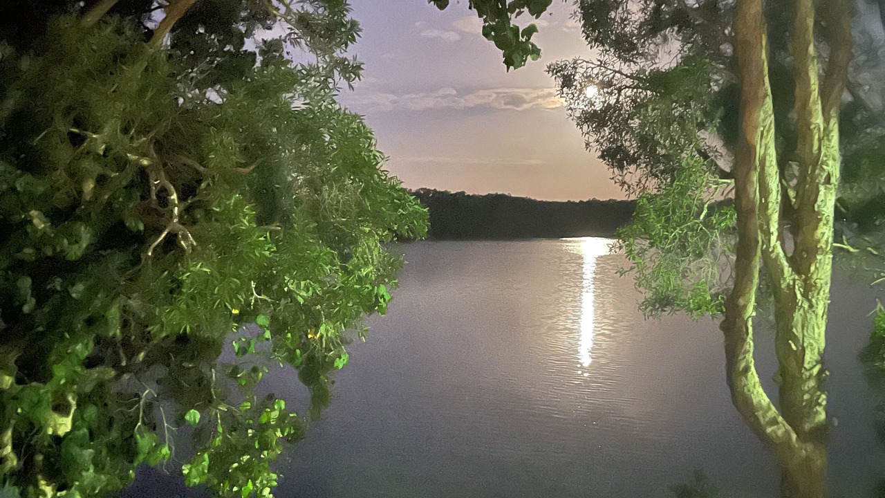 Photo of Outdoor in Coombabah