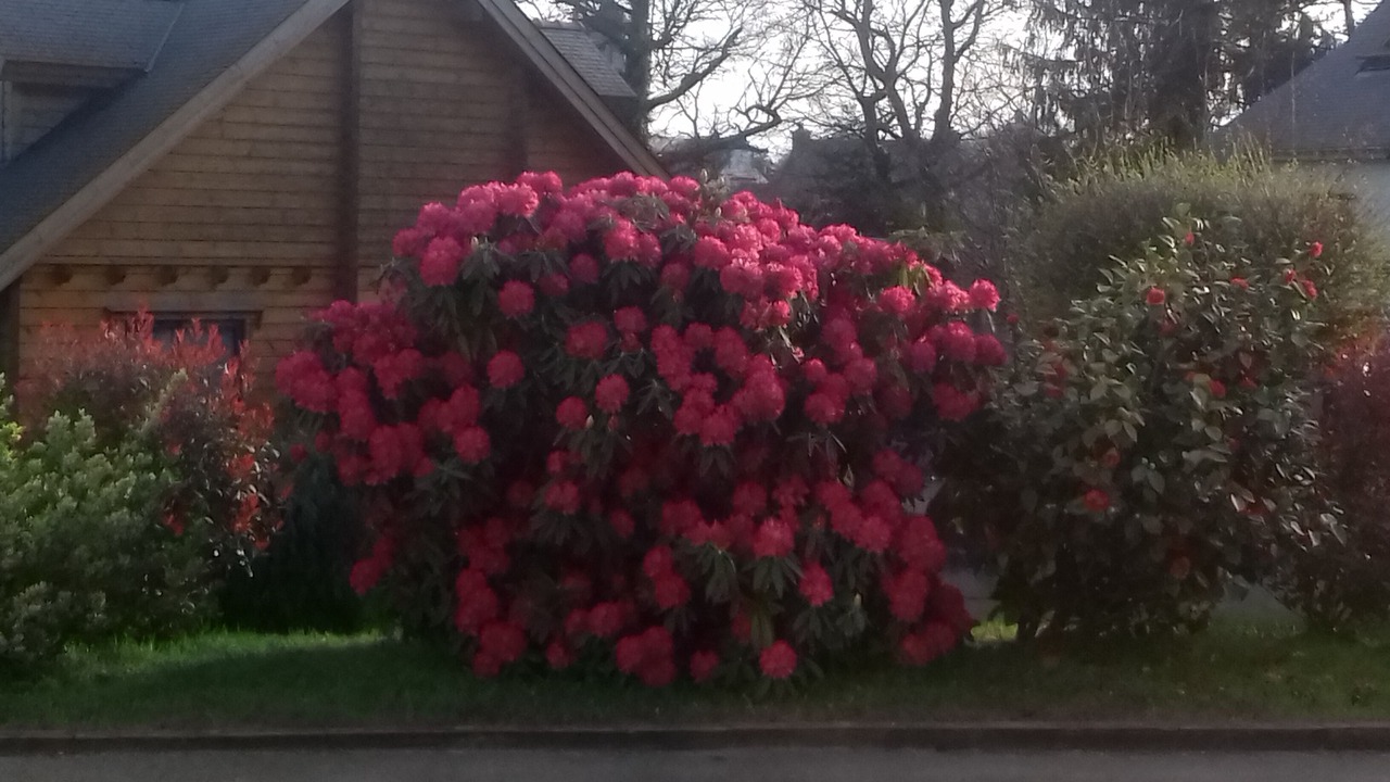 Photo of Outdoor in Bignan