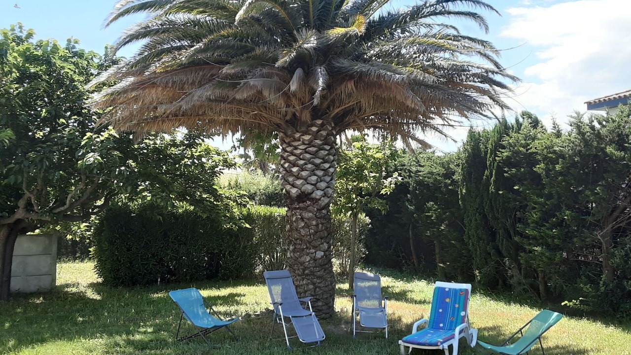 Photo of Outdoor in Pollestres