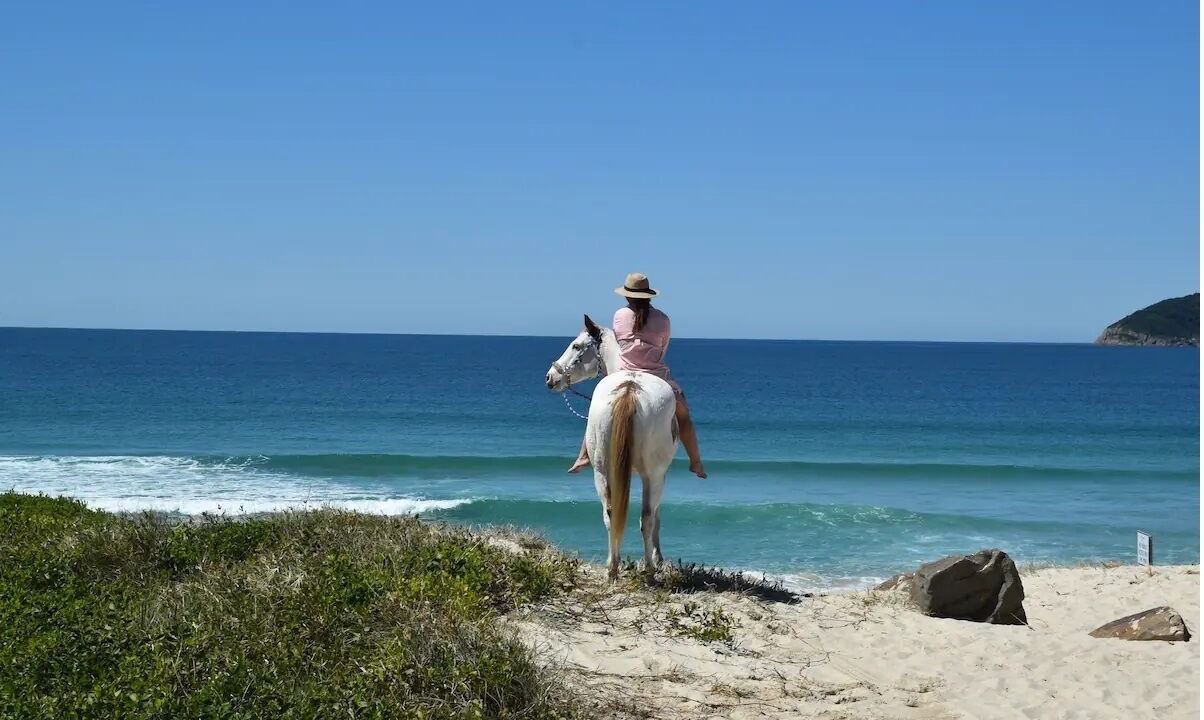 Photo of Others in Pindimar